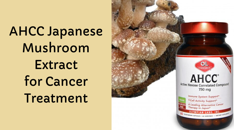 Ahcc Japanese Mushroom Extract For Cancer Treatment