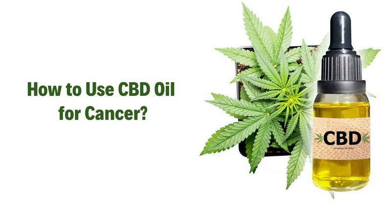 How to Use CBD Oil for Cancer